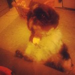 Profile Picture of Jeffrey Dowdell (@geantsil) on Instagram