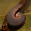Profile Picture of Krishnan Vaitheeswaran (@Krishnan Vaitheeswaran) on Flickr