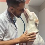 Profile Picture of Thales David (@thales.david) on Instagram