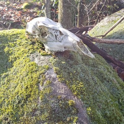 Profile Picture of J. Brandonon Twitter