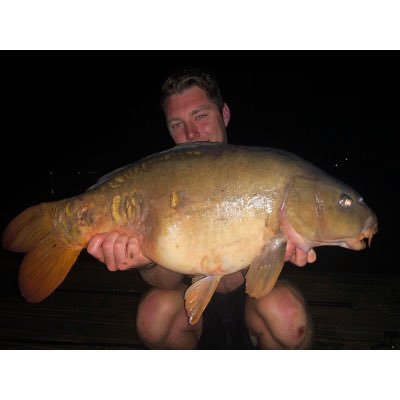 Profile Picture of Brandon_BJJ (@@EleyBrandon) on Twitter