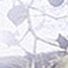 Profile Picture of alexarh (@alexarh) on Flickr