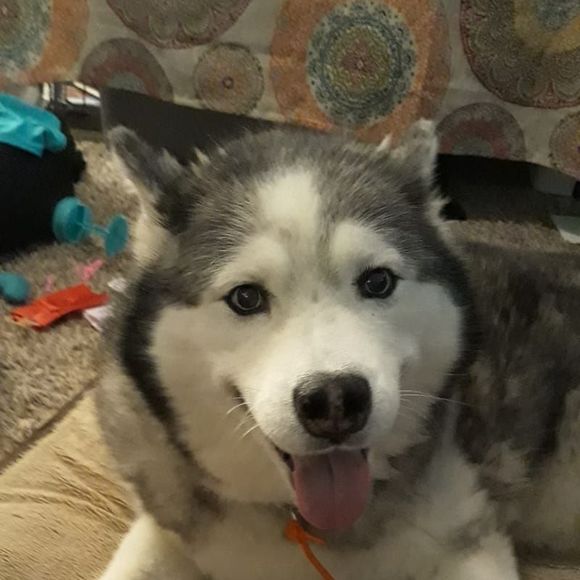 Profile Picture of Conner Suderman (@connersuderman) on Poshmark