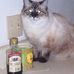 Profile Picture of Robert E. Stinson (@robert.e.stinson) on Facebook