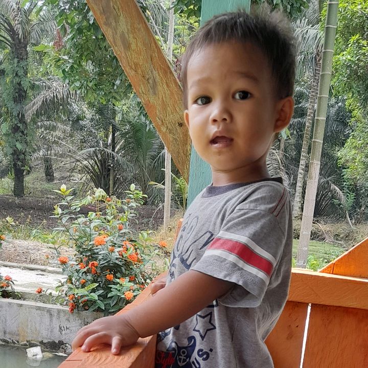 Profile Picture of johnripal1 (@johnripal1) on Tiktok