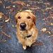Profile Picture of Sam Zeng (@sam19950103) on Pinterest