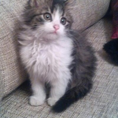 Profile Picture of Anna Pieczykolan (@Anna56572016) on Twitter