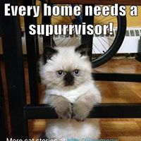 Profile Picture of Janet Beridon-Gironda (@beridongironda) on Pinterest