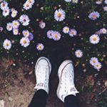 Profile Picture of lizbeth_serrano 😎 (@lizbeth_serrano_) on Instagram