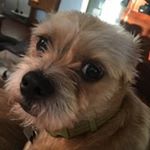 Profile Picture of Thomas Yeager (@tyeager503) on Instagram