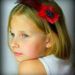 Profile Picture of Laurie Linsner (@laurielinsner) on Pinterest
