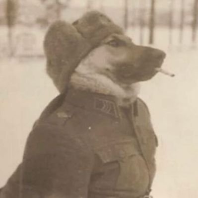Profile Picture of Zachary Barrow (@TheYups) on Twitter