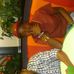 Profile Picture of Christopher Abdullah (@christopher.abdullah.10) on Facebook