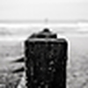 Profile Picture of Ross Alexander (@RossAlexander1) on Flickr