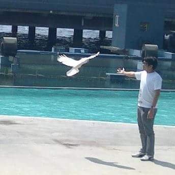 Profile Picture of Jeffrey James Valles (@MynameisjeffMD) on Twitter