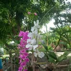 Profile Picture of Dima Leones (@Dima-Leones) on Facebook