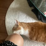 Breedveld Poep Chinees Joyce - Facebook Profile Picture of Breedveld Poep Chinees Joyce (@joyce.breedveld.73) on Facebook