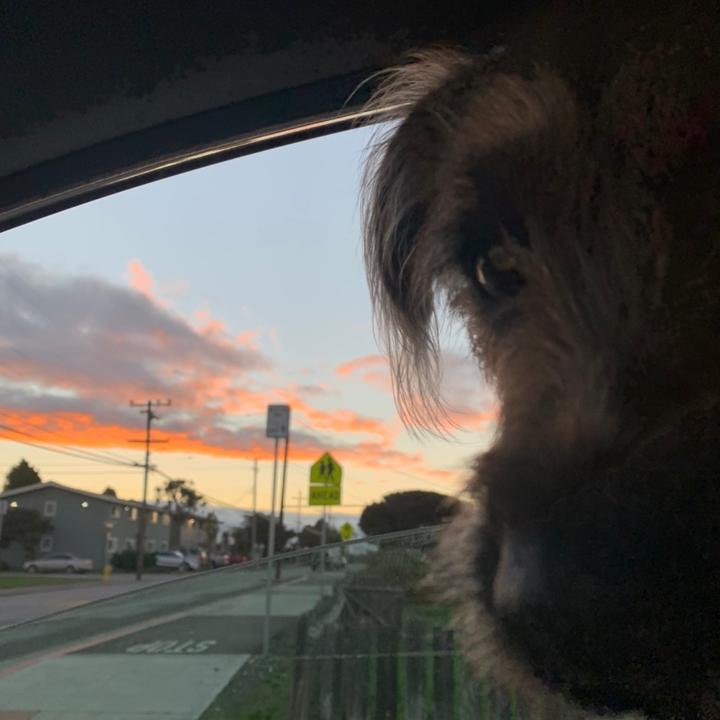 Profile Picture of Kiley (@kiley.julia) on Tiktok