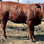 Profile Picture of David Malinga (@David-Malinga) on Facebook