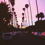 Profile Picture of Miranda Corona (@corona3765) on Instagram