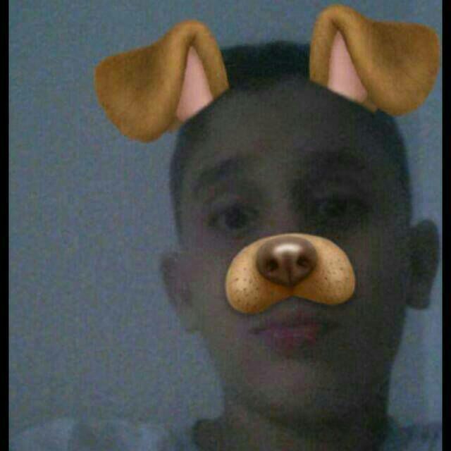 Profile Picture of Roberto Weverton Nitsche (@robert_nitsche) on Tiktok