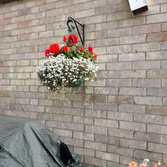 Profile Picture of Cheryl Pain (@cheryl.pain4) on Tiktok