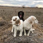 Profile Picture of John Dzerdz (@jdzerdz) on Instagram