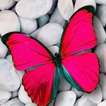 Profile Picture of Beverly Patterson (@bjp70) on Instagram