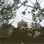 Profile Picture of پیج رسمی نرگان (@nargan_esfahan) on Instagram