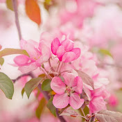 Profile Picture of Marilyn Cornish (@MarilynCornish) on Youtube