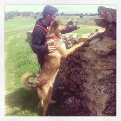 Profile Picture of Fernando Atienza (@feernando45) on Twitter