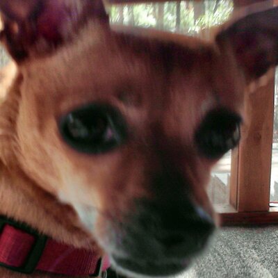 Profile Picture of Gloria Patterson (@nanagfaye) on Twitter