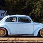 Profile Picture of Andrew Maggs (@maggsy2448) on Instagram