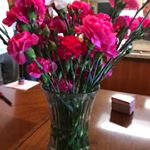 Profile Picture of Kathy Pappas (@luckyandlilbear) on Instagram