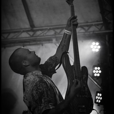 Profile Picture of Dave Brittain (@savingbassist) on Twitter