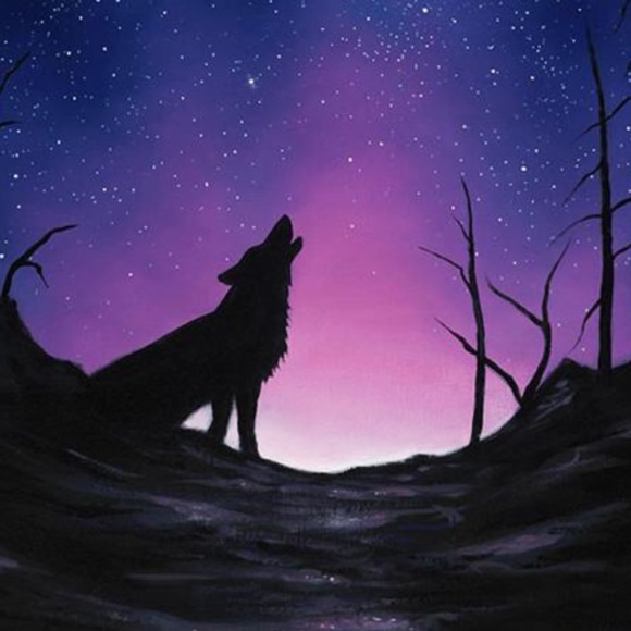 Profile Picture of Peyton Silbaugh (@peytonunicorn11) on Poshmark