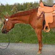 Profile Picture of Amanda Naccarato (@amandanaccarato3806) on Youtube