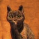 Rexanne - Instagram Profile Picture of Rexanne (@rexannetreeves) on Instagram