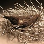 Profile Picture of Jesse Rasmussen (@jesseceramics) on Instagram