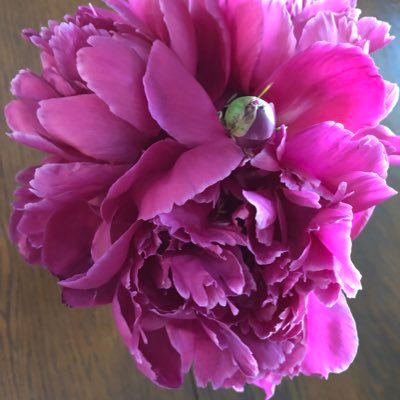 Profile Picture of Jodi Patton (@jodipat03421221) on Twitter