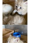 Profile Picture of Evaphillips (@evaphillips9973) on Instagram