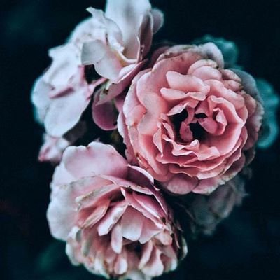Profile Picture of Jesenia Perez (@Jesenia19109208) on Twitter