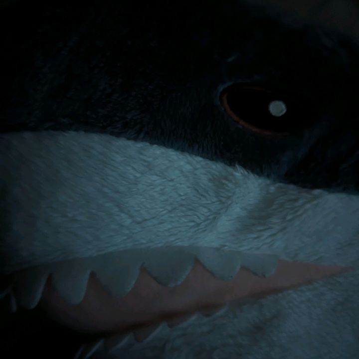 Profile Picture of John Fries (@johnfries12) on Tiktok