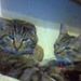 Profile Picture of Rita Davison (@davison5198) on Pinterest