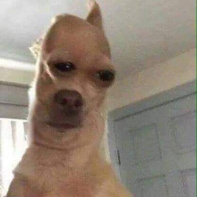 Profile Picture of Lil Jomink (@JominkLil) on Twitter