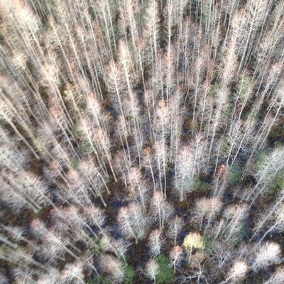 Profile Picture of Nicolas Trujillo (@nikolastrujillo) on Twitter