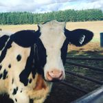Profile Picture of Dave and Casey Schoch (@schoch_dairy_and_creamery) on Instagram