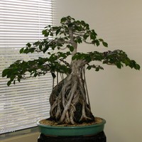 Profile Picture of Mario A. Carrillo-cotto (@mario-a-carrillo-cotto) on Quora