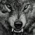 Profile Picture of Iris Hoffmann (@iris.hoffmann.7370) on Facebook
