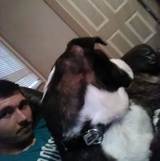 Profile Picture of Ryan DeLay (@Ryan-DeLay) on Facebook